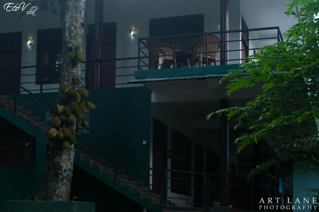 Eco Villa - Sinharaja دينيايا المظهر الخارجي الصورة