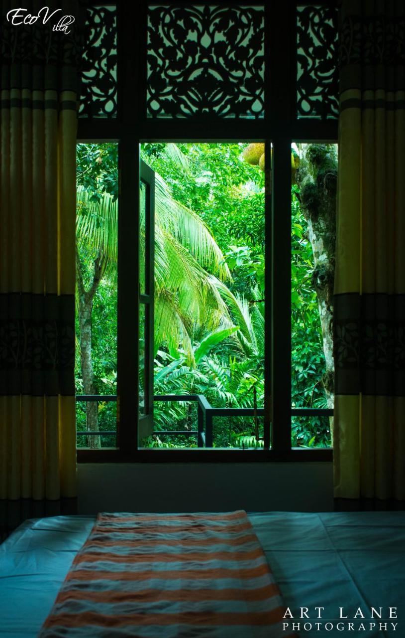 Eco Villa - Sinharaja دينيايا المظهر الخارجي الصورة