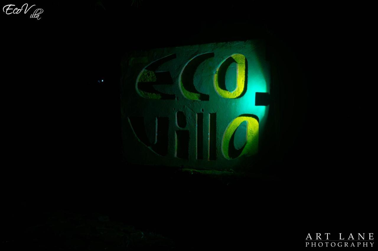 Eco Villa - Sinharaja دينيايا المظهر الخارجي الصورة
