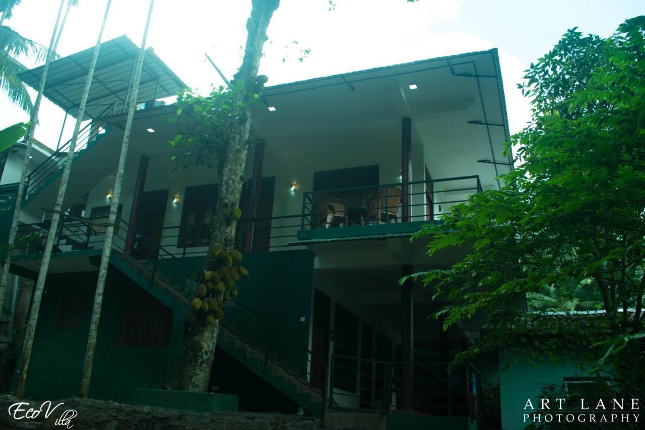 Eco Villa - Sinharaja دينيايا المظهر الخارجي الصورة